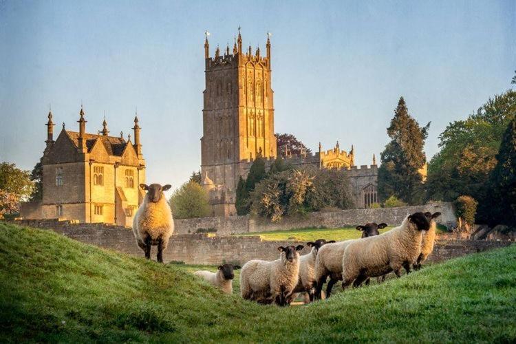 Cotswold Chic Retreats "Jacinabox" Central Chipping Campden-Parking-Garden Exteriör bild